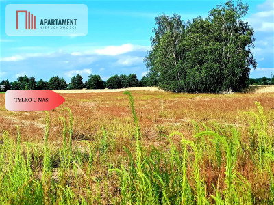 ZŁAWIEŚ MAŁA 1002m2 CISZA SPOKÓJ SUPER LOKALIZACJA - Zławieś Mała  -
Kujawsko-Pomorskie Zdjęcie nr 8