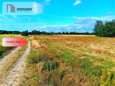 ZŁAWIEŚ MAŁA 1002m2 CISZA SPOKÓJ SUPER LOKALIZACJA - Zławieś Mała  -
Kujawsko-Pomorskie Zdjęcie nr 9