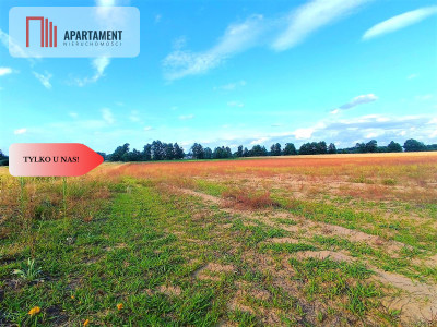 ZŁAWIEŚ MAŁA 1079 m2 IDEALNA LOKALIZACJA - Zławieś Mała  -
Kujawsko-Pomorskie Zdjęcie nr 10