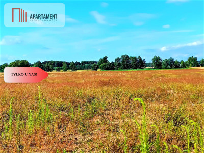 ZŁAWIEŚ MAŁA 1079 m2 IDEALNA LOKALIZACJA - Zławieś Mała  -
Kujawsko-Pomorskie Zdjęcie nr 7