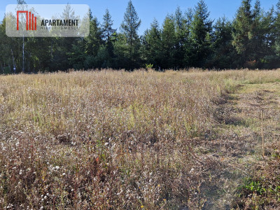 Działka budowlana blisko lasu - Rogowo  -
Kujawsko-Pomorskie Zdjęcie nr 4