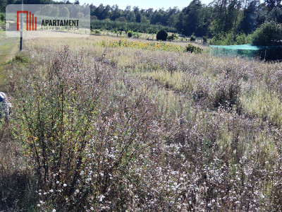 Działka budowlana blisko lasu - Rogowo  -
Kujawsko-Pomorskie Zdjęcie nr 5