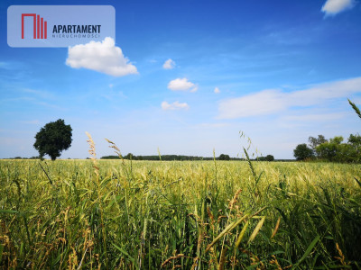 Działka w Brukach Unisławskich - Bruki Unisławskie  -
Kujawsko-Pomorskie Zdjęcie nr 4