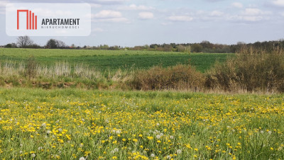 Działka w Brukach Unisławskich - Bruki Unisławskie  -
Kujawsko-Pomorskie Zdjęcie nr 5