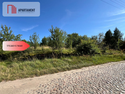 Zaproponuj cenę Działka budynek 163m jezioro - Pniewo  -
Wielkopolskie Zdjęcie nr 13