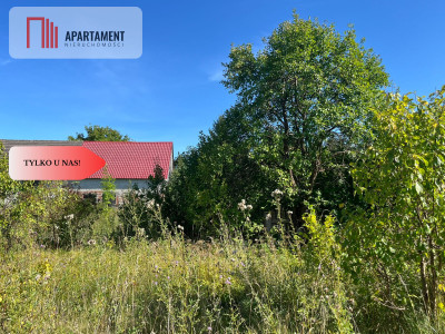 Zaproponuj cenę Działka budynek 163m jezioro - Pniewo  -
Wielkopolskie Zdjęcie nr 2