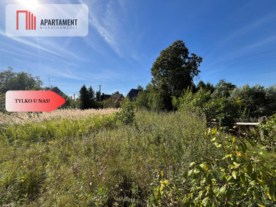 Zaproponuj cenę Działka budynek 163m jezioro - Pniewo  -
Wielkopolskie Zdjęcie nr 4