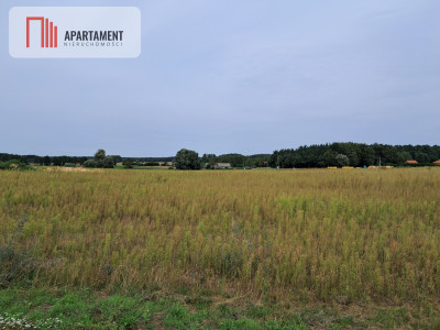 Atrakcyjne działki w Gąbinie - Gąbin  -
Kujawsko-Pomorskie Zdjęcie nr 3