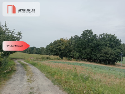 Działka na Obrzeżach Tczewa w Śliwinach - powiat tczewski  - Pomorskie