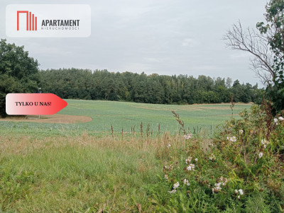 Działka na Obrzeżach Tczewa w Śliwinach - powiat tczewski  -
Pomorskie Zdjęcie nr 2