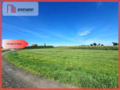 TYLKO U NAS DUŻA DZIAŁKA Z  WZ DOM DO 250m2 - Krojanty  - Pomorskie