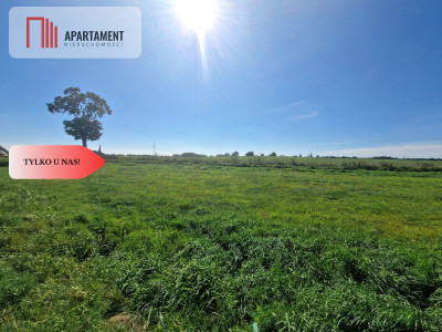 TYLKO U NAS DUŻA DZIAŁKA Z  WZ DOM DO 250m2 - Krojanty  -
Pomorskie Zdjęcie nr 3