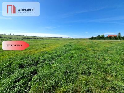 TYLKO U NAS DUŻA DZIAŁKA Z  WZ DOM DO 250m2 - Krojanty  -
Pomorskie Zdjęcie nr 4