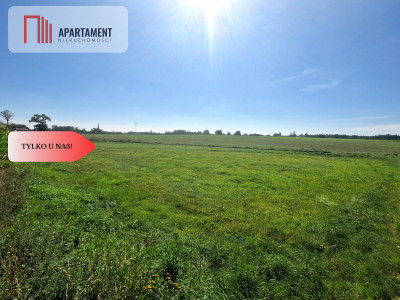 TYLKO U NAS DUŻA DZIAŁKA Z  WZ DOM DO 250m2 - Krojanty  -
Pomorskie Zdjęcie nr 5