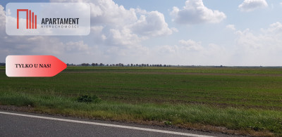 Działka przy obwodnicy z warunkami zab Usługi - Lisi Ogon  - Kujawsko-Pomorskie