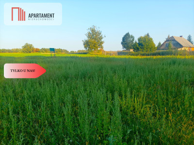 TYLKO U NAS  ATRAKCYJNA JEDNA Z OSTATNICH - Terespol Pomorski  -
Kujawsko-Pomorskie Zdjęcie nr 3