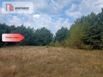 Działka Cekcyn obok lasu jezior budowlana  - powiat tucholski  -
Kujawsko-Pomorskie Zdjęcie nr 10