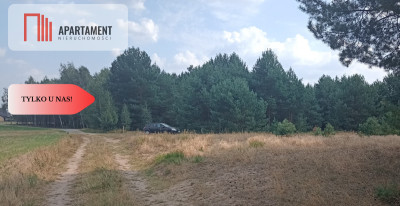 Działka Cekcyn obok lasu jezior budowlana  - powiat tucholski  -
Kujawsko-Pomorskie Zdjęcie nr 6