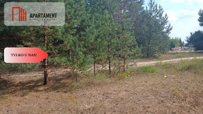 Działka Cekcyn obok lasu jezior budowlana  - powiat tucholski  -
Kujawsko-Pomorskie Zdjęcie nr 7