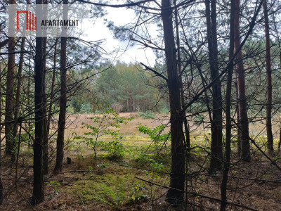 Przestronna działka blisko jeziora Deczno - Sulnówko  -
Kujawsko-Pomorskie Zdjęcie nr 10