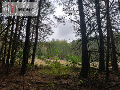 Przestronna działka blisko jeziora Deczno - Sulnówko  -
Kujawsko-Pomorskie Zdjęcie nr 13