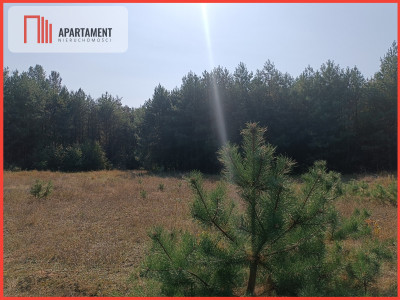 Zadrzewiona działka rolna w okolicy jeziora - Sulnówko  - Kujawsko-Pomorskie