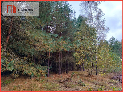 Przestronna działka blisko jeziora Deczno - Sulnówko  -
Kujawsko-Pomorskie Zdjęcie nr 2