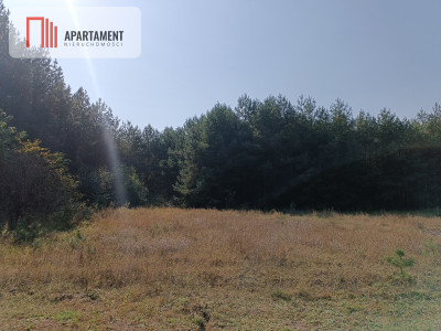 Przestronna działka blisko jeziora Deczno - Sulnówko  -
Kujawsko-Pomorskie Zdjęcie nr 5