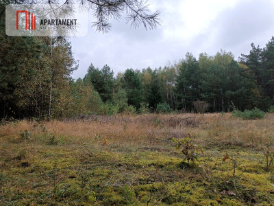 Przestronna działka blisko jeziora Deczno - Sulnówko  -
Kujawsko-Pomorskie Zdjęcie nr 6