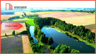 TYLKO U NAS STAWY Z DZIAŁKĄ UROKLIWE MIEJSCE - Wiele  - Kujawsko-Pomorskie