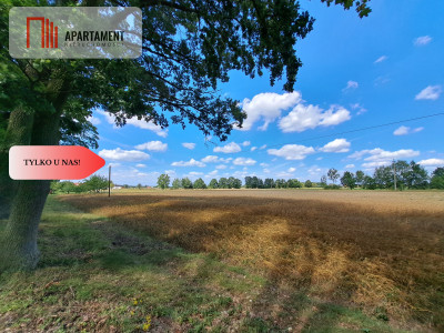 Działka z WZ  Małe Rudy - Małe Rudy  - Kujawsko-Pomorskie