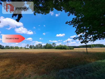 Działka z WZ  Małe Rudy - Małe Rudy  -
Kujawsko-Pomorskie Zdjęcie nr 2