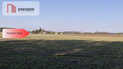 Tylko u Nas  Piękna i cicha działka - Gołoty  -
Kujawsko-Pomorskie Zdjęcie nr 4