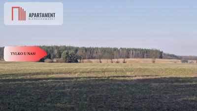 Tylko u Nas  Piękna i cicha działka - Gołoty  -
Kujawsko-Pomorskie Zdjęcie nr 5