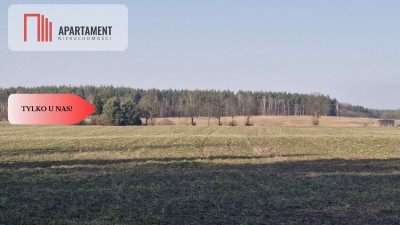 Tylko u Nas Działka w spokojnej okolicy - Gołoty  -
Kujawsko-Pomorskie Zdjęcie nr 2