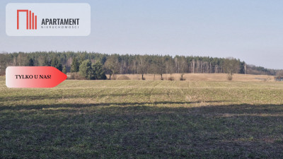 Tylko u Nas Działka w spokojnej okolicy - Gołoty  -
Kujawsko-Pomorskie Zdjęcie nr 3