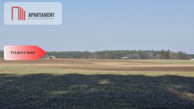 Tylko u Nas Działka w spokojnej okolicy - Gołoty  -
Kujawsko-Pomorskie Zdjęcie nr 4