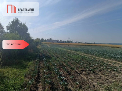 Tylko u Nas Działka w spokojnej okolicy - Gołoty  -
Kujawsko-Pomorskie Zdjęcie nr 6