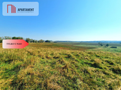 Tylko u Nas 110 ha w jednym kawałku Nowa cena - powiat drawski  -
Zachodniopomorskie Zdjęcie nr 5