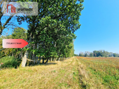 Tylko u Nas 110 ha w jednym kawałku Nowa cena - powiat drawski  -
Zachodniopomorskie Zdjęcie nr 7