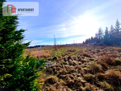 Wymarzone miejsce na dom z widokiem na las - Klawkowo  -
Pomorskie Zdjęcie nr 2