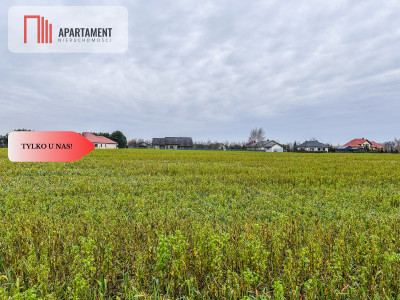 Tylko u nas Działka 055 ha Łubianka k jeziora - Łubianka  -
Kujawsko-Pomorskie Zdjęcie nr 6