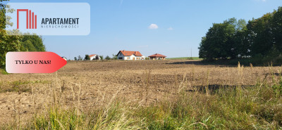 Działki z projektem WZ - Trzemiętowo  -
Kujawsko-Pomorskie Zdjęcie nr 2