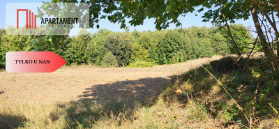 Działki z projektem WZ - Trzemiętowo  -
Kujawsko-Pomorskie Zdjęcie nr 5