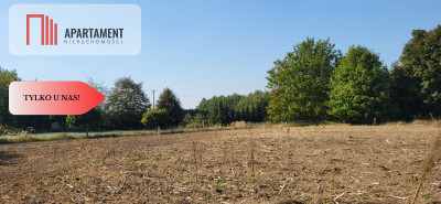 Działki z projektem WZ - Trzemiętowo  -
Kujawsko-Pomorskie Zdjęcie nr 6