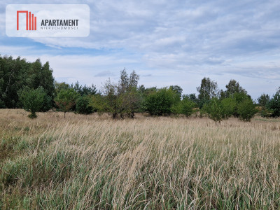 Działka budowlana z wydanymi WZ na 2 domy - Rogowo  -
Kujawsko-Pomorskie Zdjęcie nr 4