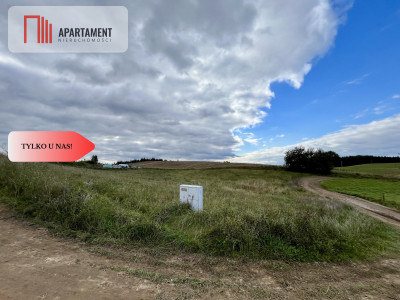 Działka 3000 m2 w sercu Kaszub - Półczno  -
Pomorskie Zdjęcie nr 6