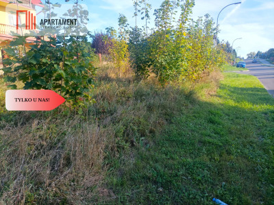 TYLKO U NAS  ATRAKCYJNA USŁUGOWO-MIESZKANIOWA - Świecie  -
Kujawsko-Pomorskie Zdjęcie nr 4