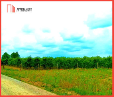 MORZEWIEC 1067 m2 ŚWIETNA LOKALIZACJA - Szczutki  - Kujawsko-Pomorskie