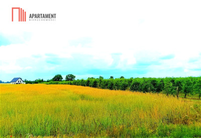 MORZEWIEC 1067 m2 ŚWIETNA LOKALIZACJA - Szczutki  -
Kujawsko-Pomorskie Zdjęcie nr 2